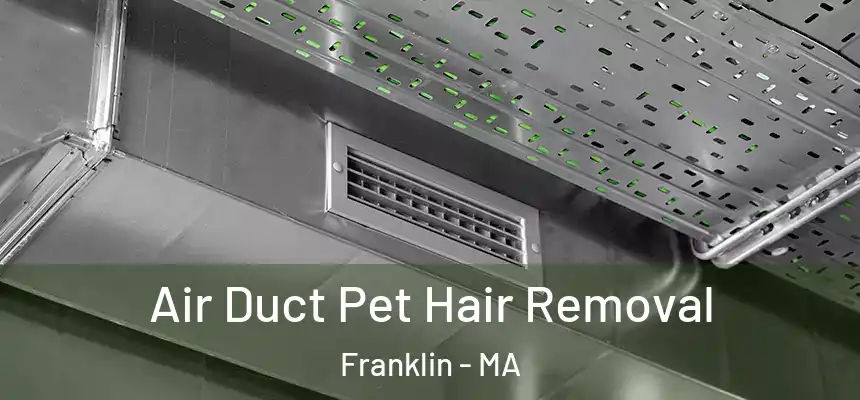 Air Duct Pet Hair Removal Franklin - MA