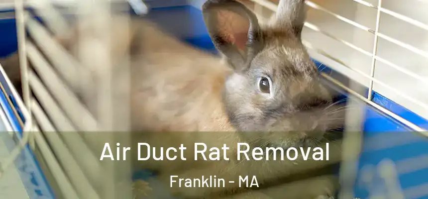Air Duct Rat Removal Franklin - MA