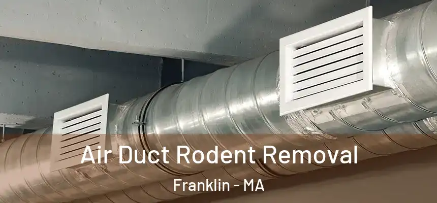 Air Duct Rodent Removal Franklin - MA