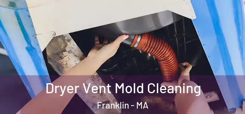 Dryer Vent Mold Cleaning Franklin - MA