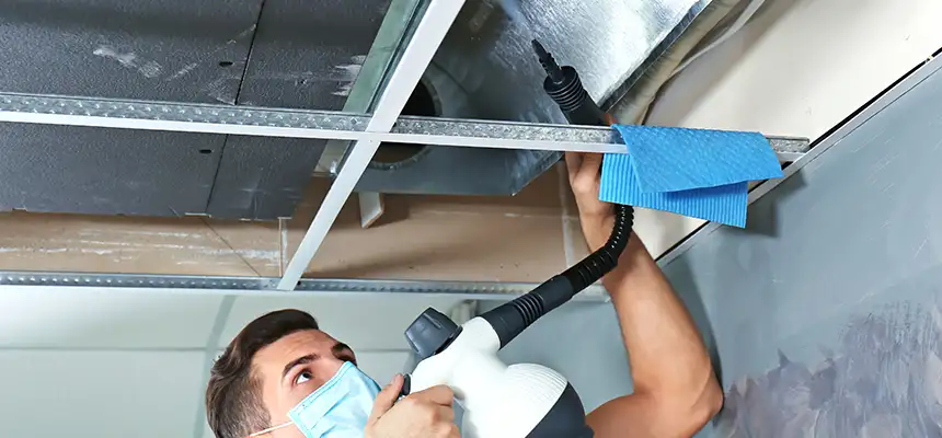 Our Air Duct Rodent Removal Services in Franklin, MA