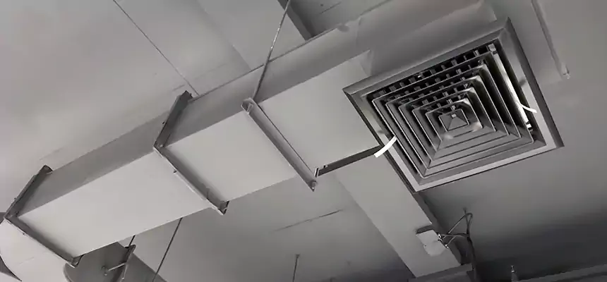 Restorative Allergy Relief Vent Cleaning – Coil, Blower & Housing Detail in Franklin