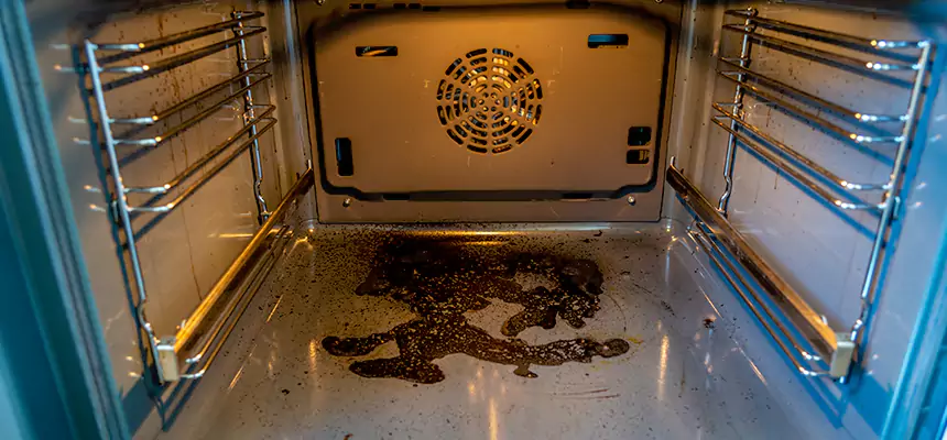 Our Dryer Vent Mold Cleaning Services in Franklin, MA