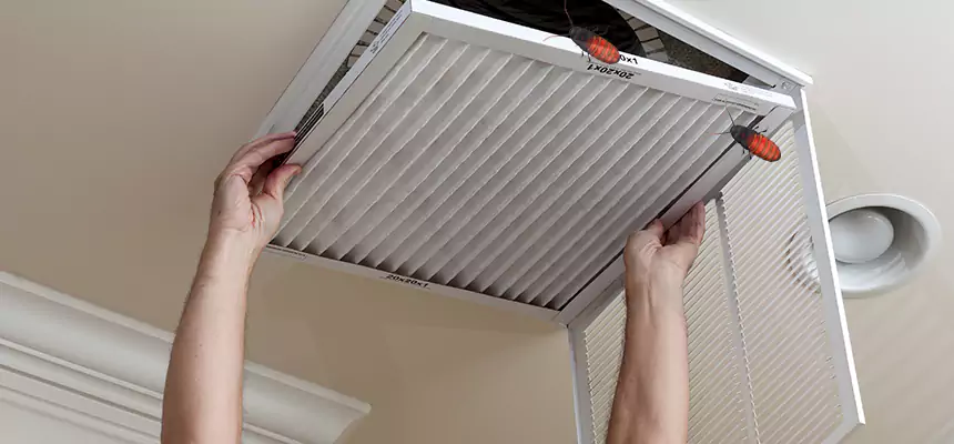 Our Insect Removal from Air Ducts Services in Franklin, MA