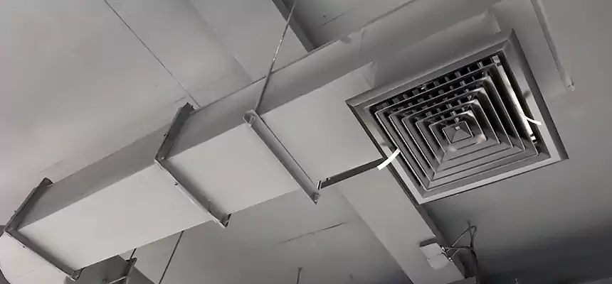 Our Pest Removal From Ducts Services in Franklin, MA