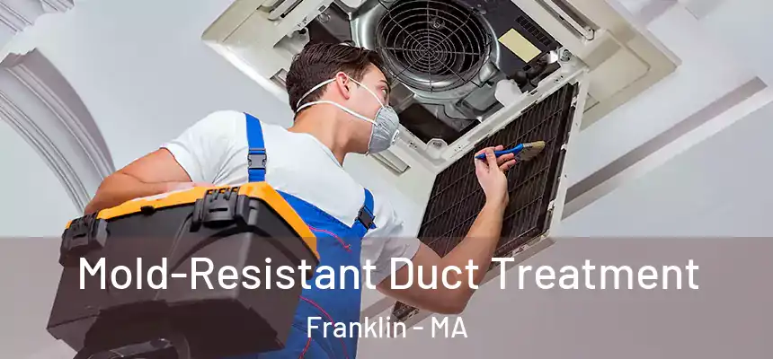  Mold-Resistant Duct Treatment Franklin - MA