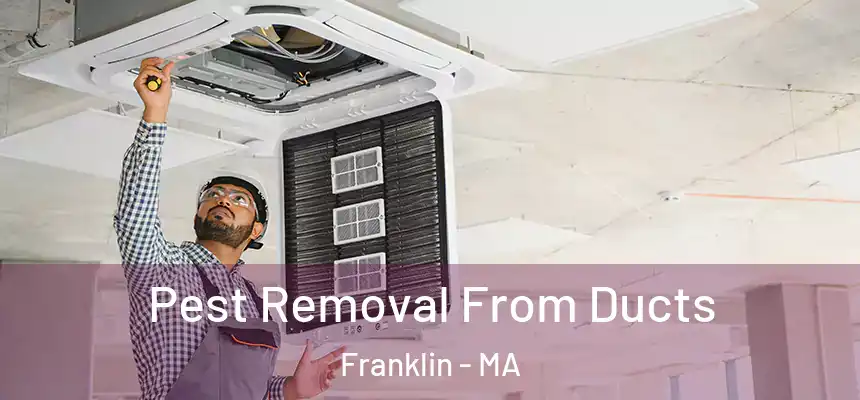  Pest Removal From Ducts Franklin - MA