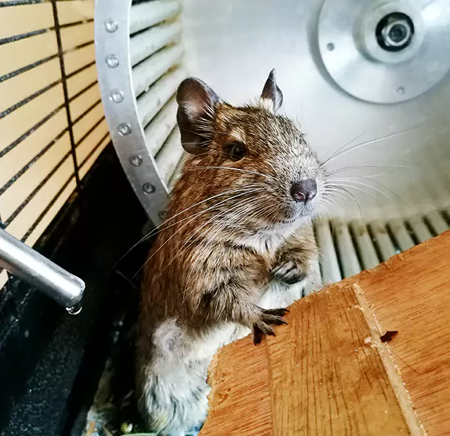 Why Homeowners & Businesses Trust Us Franklin, MA