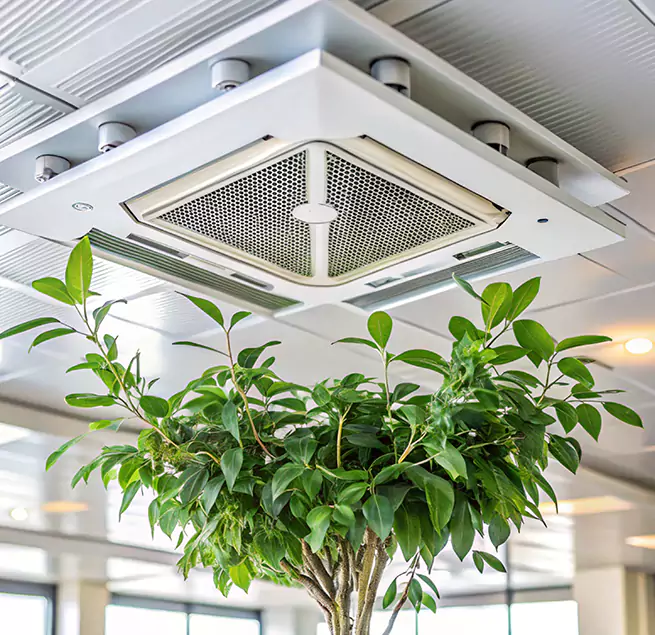 Why Homeowners & Businesses Trust Us in Franklin, MA?